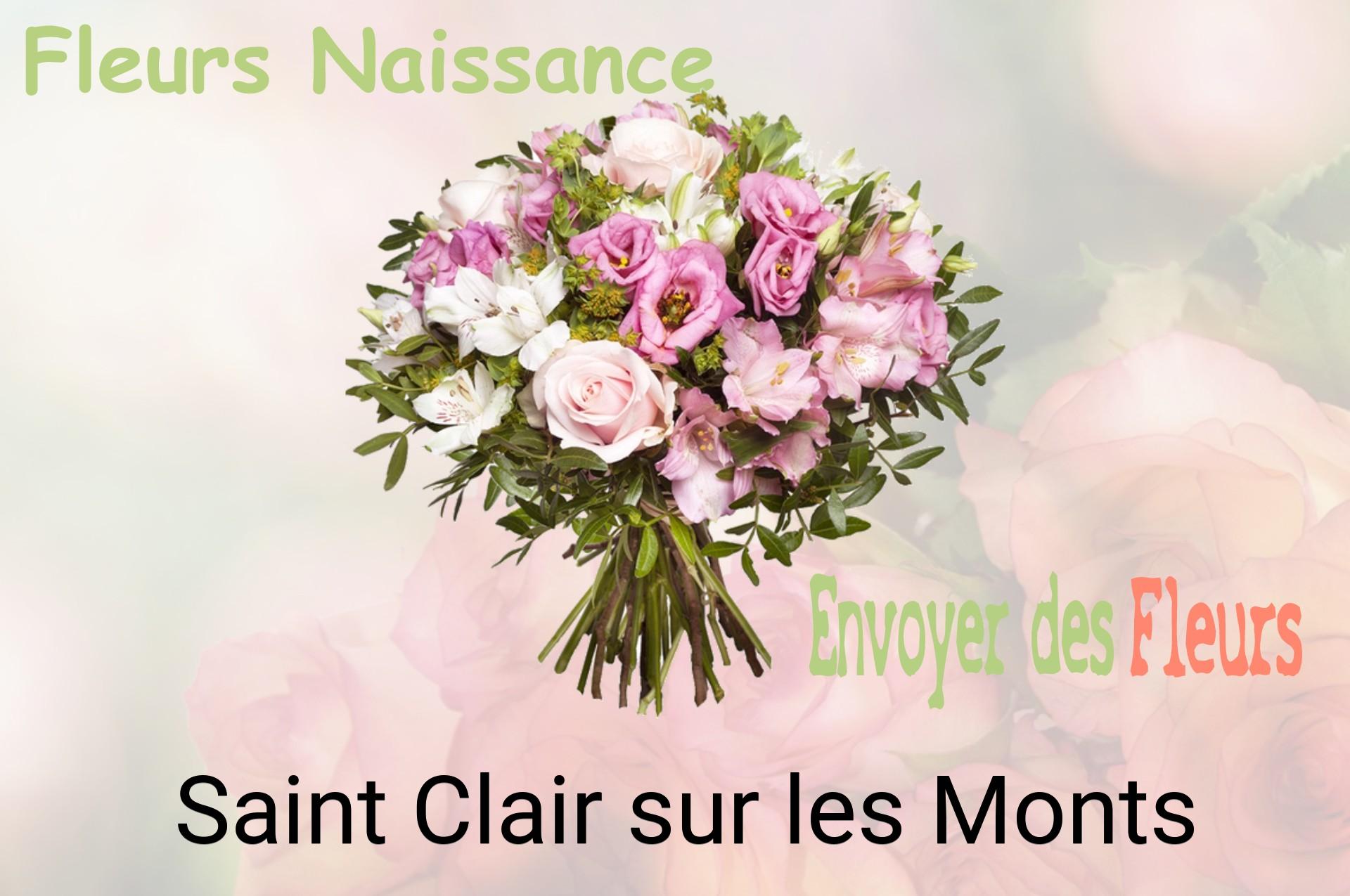 Bouquet de fleurs de naissance livré à Saint-Clair-sur-les-Monts